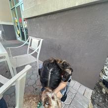 Tijuana Flats restaurant view 1