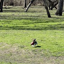 The Stix Icehouse restaurant view 1