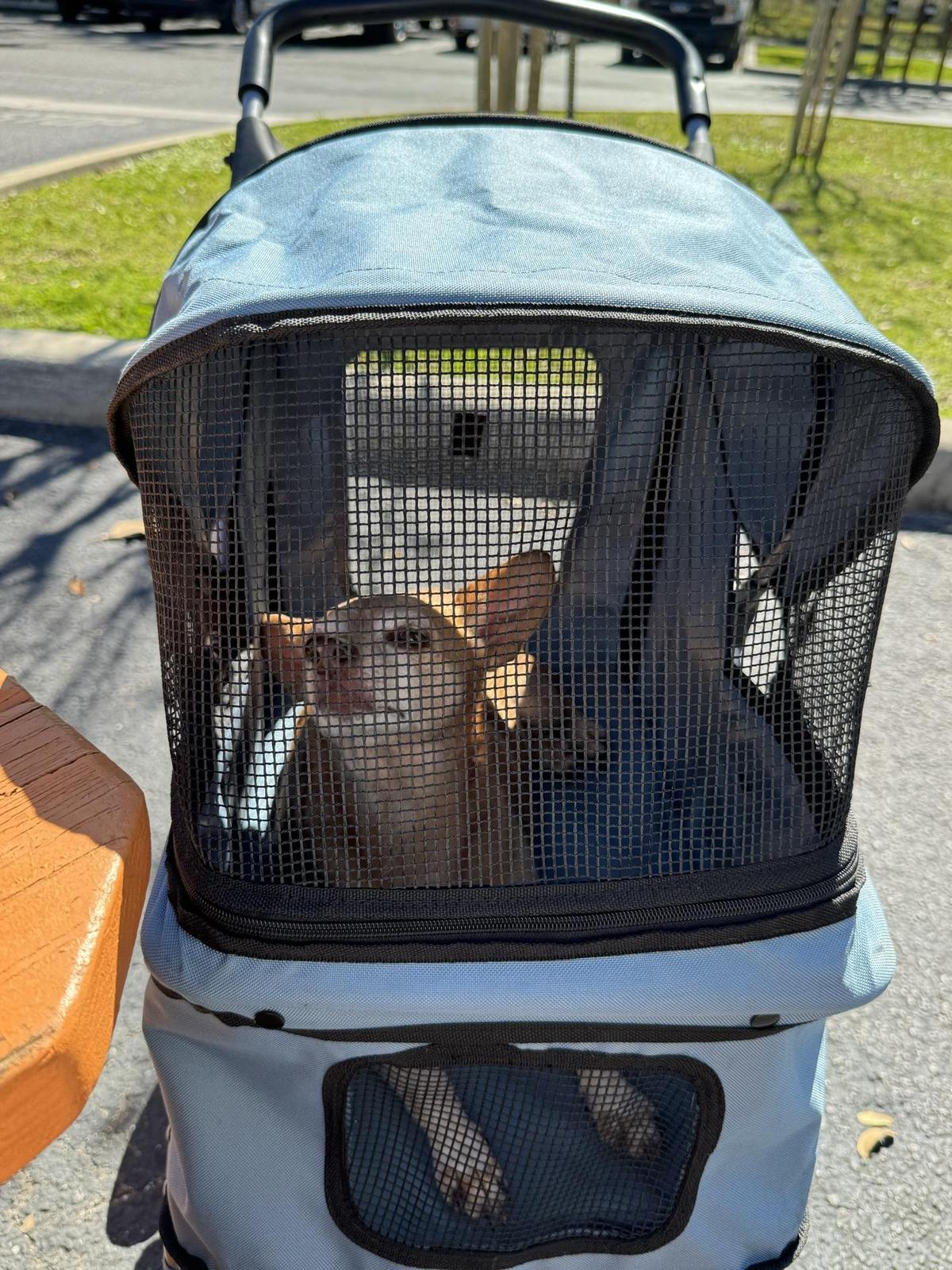 Beef 'O' Brady's restaurant view 1