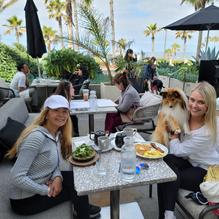 High/Low restaurant view 2