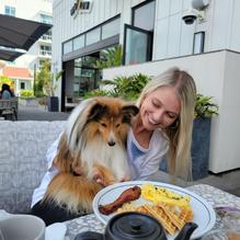 High/Low restaurant view 1