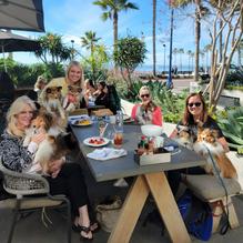 High/Low restaurant view 3