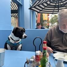 Harbor Breakfast restaurant view 1