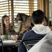 Park Tavern restaurant view 6