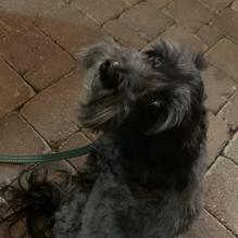 Keegan's restaurant view 1