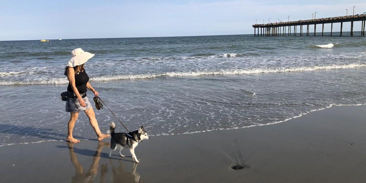 A Weekend in Dog-Friendly Myrtle Beach - BringFido