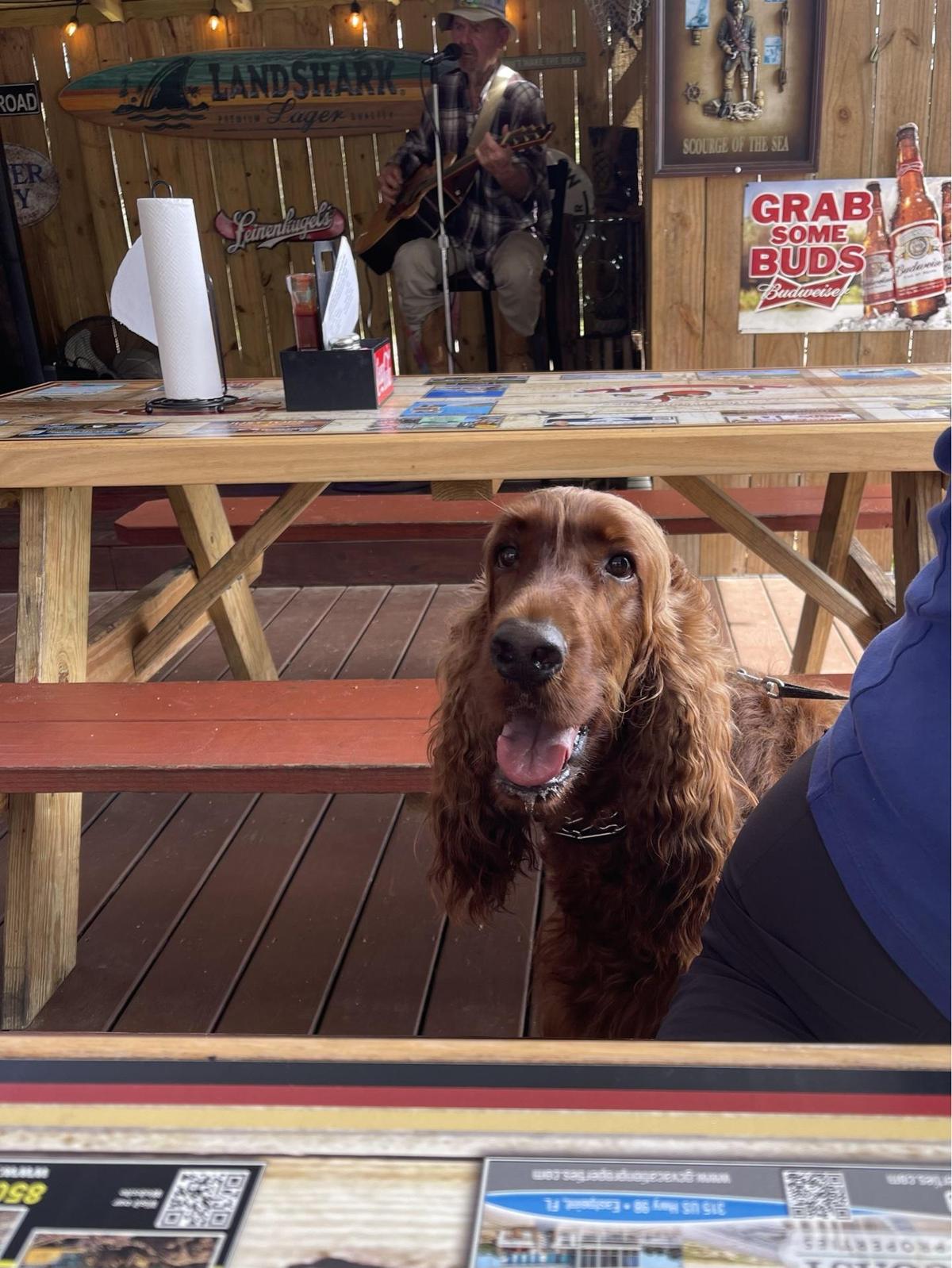 Red Pirate Family Grill & Oyster Bar restaurant view 1