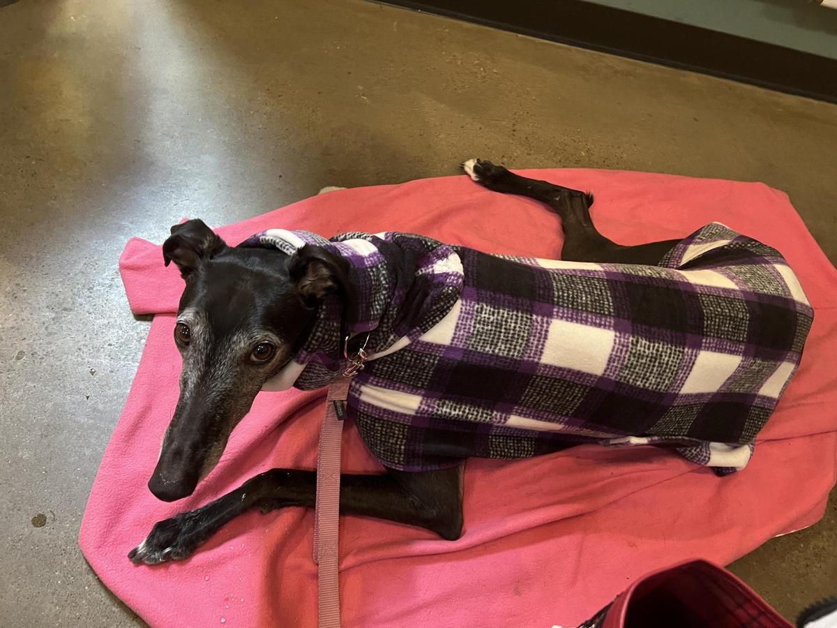 Knapp Winery restaurant view 1