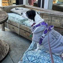 Club 1201 Restaurant restaurant view 1