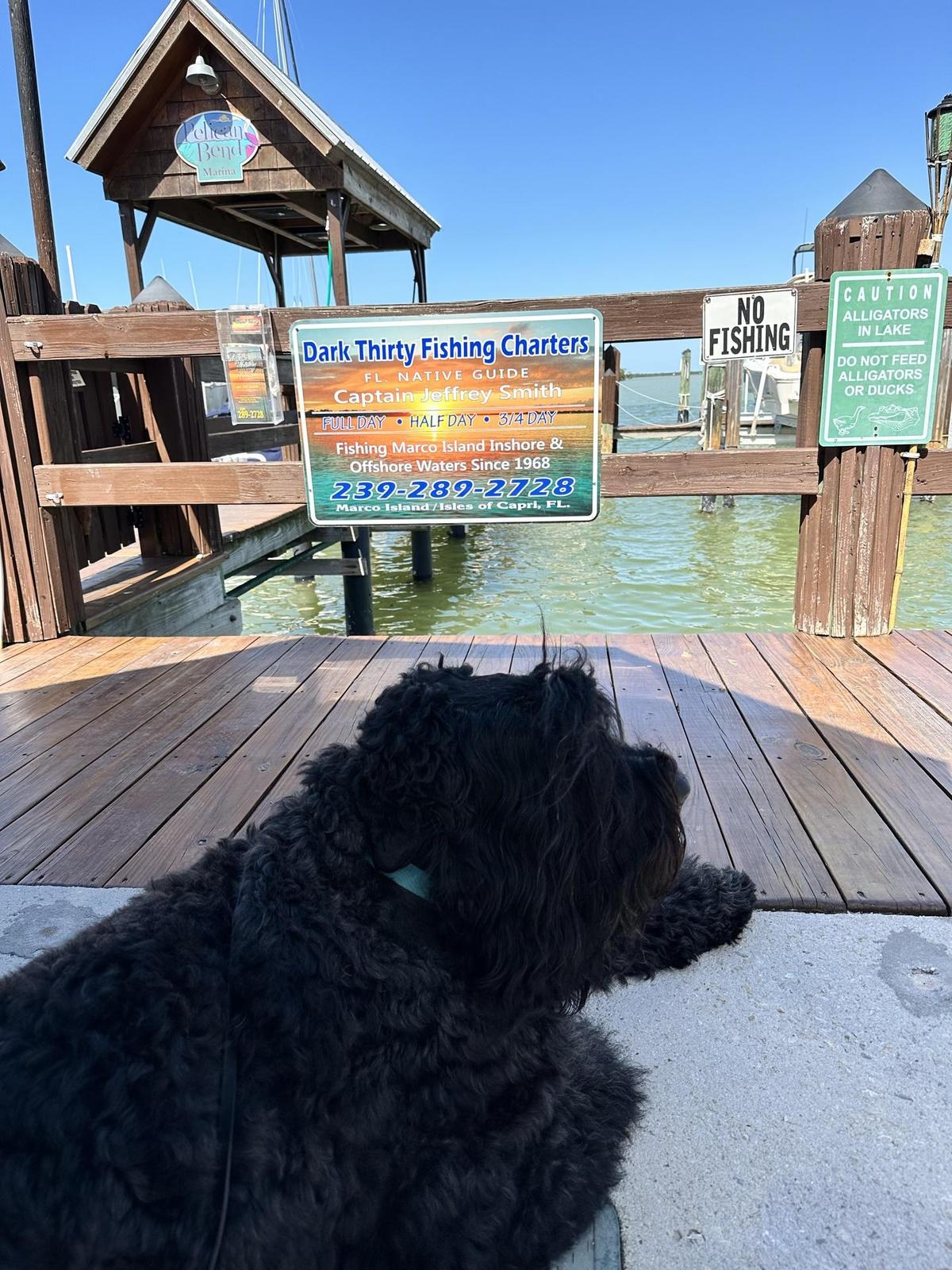 Pelican Bend restaurant view 1