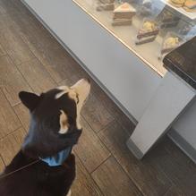 My Vegan Sweet Tooth restaurant view 1