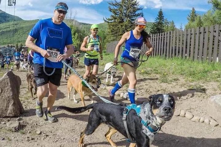 Unique Races to Run with your Dog