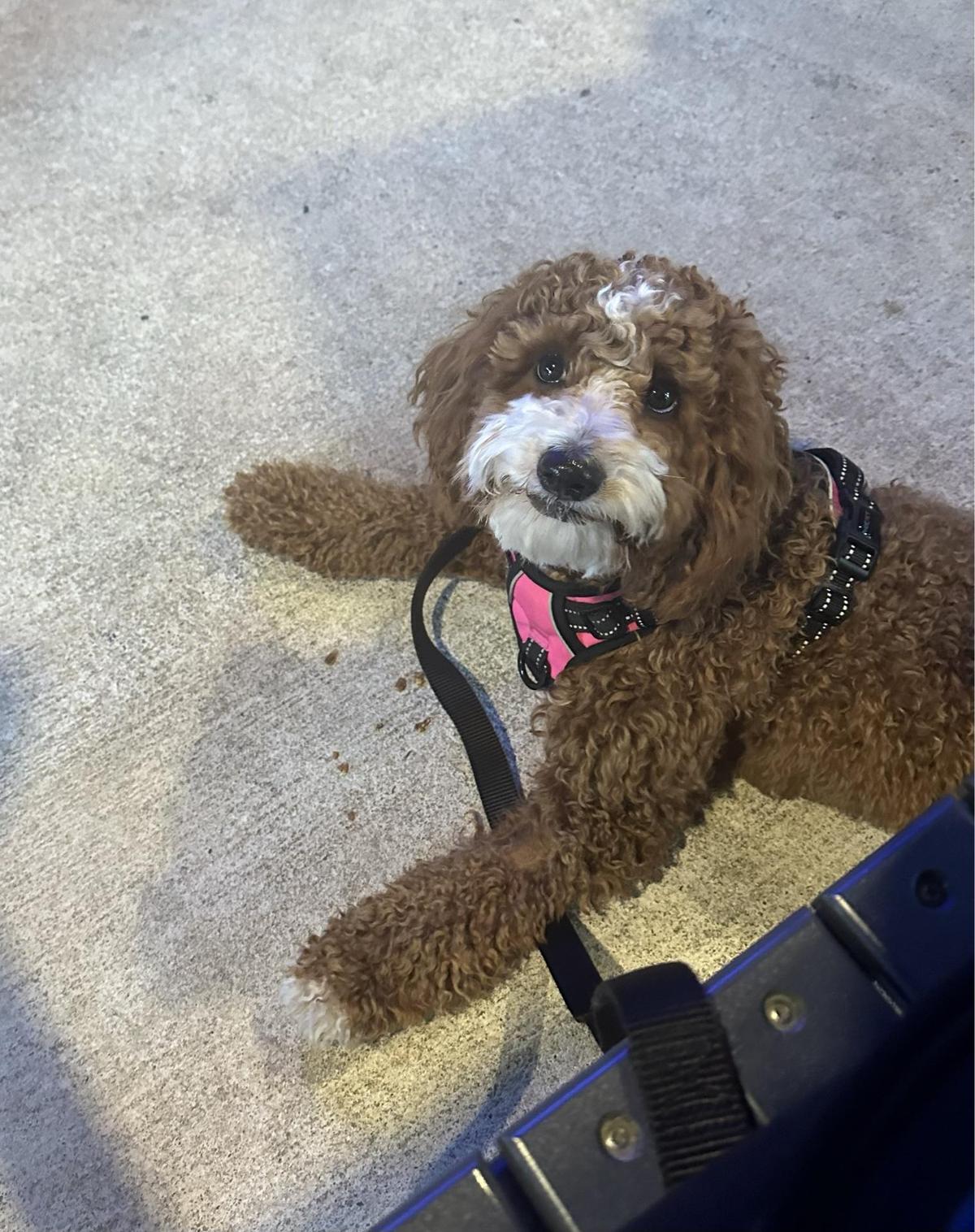 Riley's in Rincon restaurant view 1