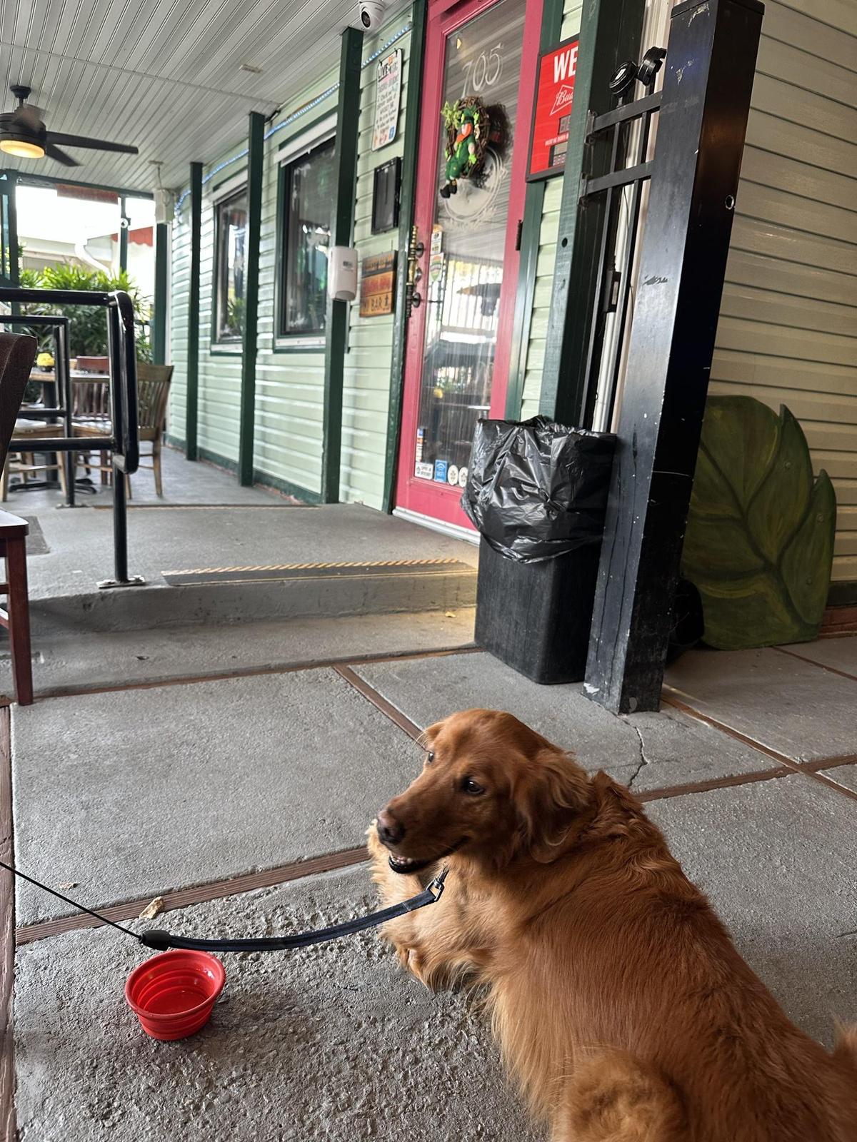 Mainstreet Pub restaurant view 2