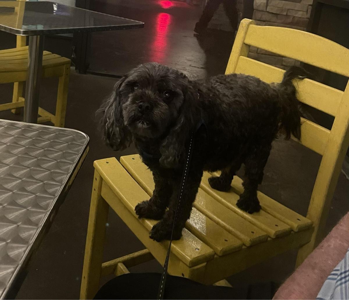 Hurricane Wings & Grill restaurant view 1