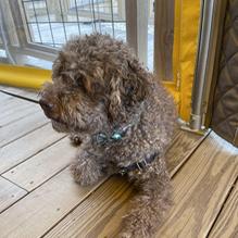 Clam Bar restaurant view 1