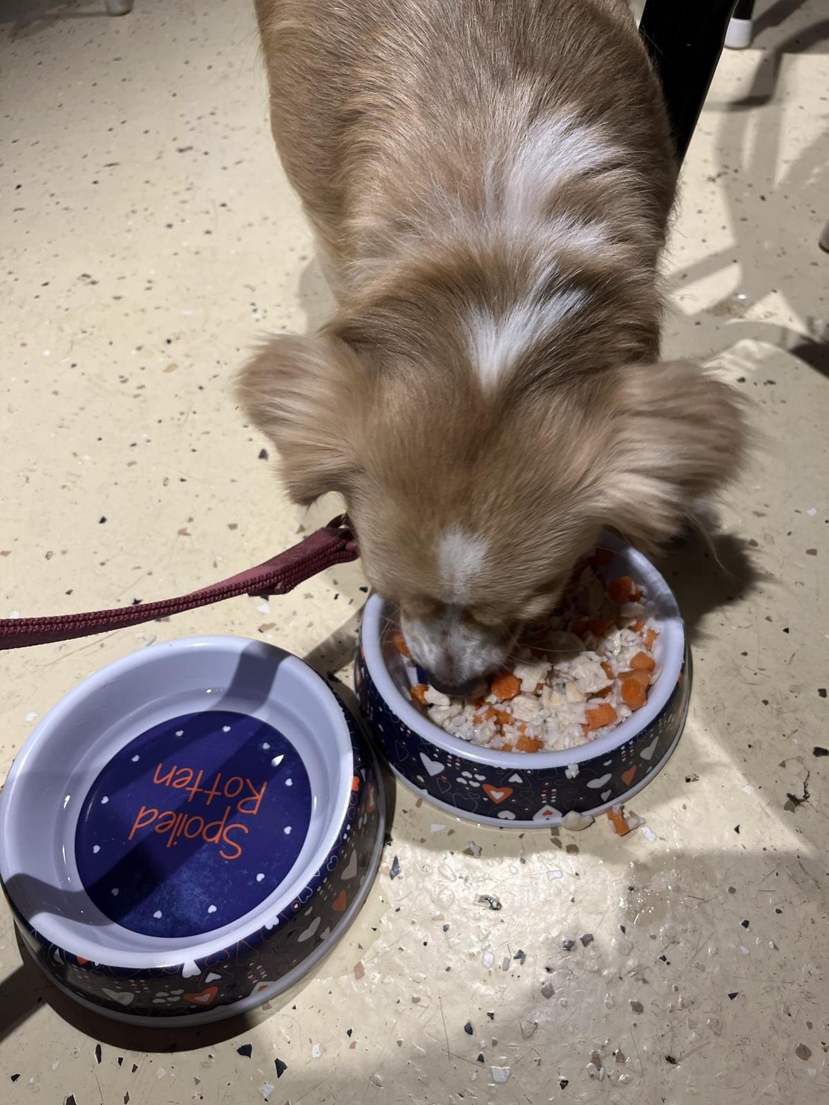 Route 66 RoadRunner restaurant view 3