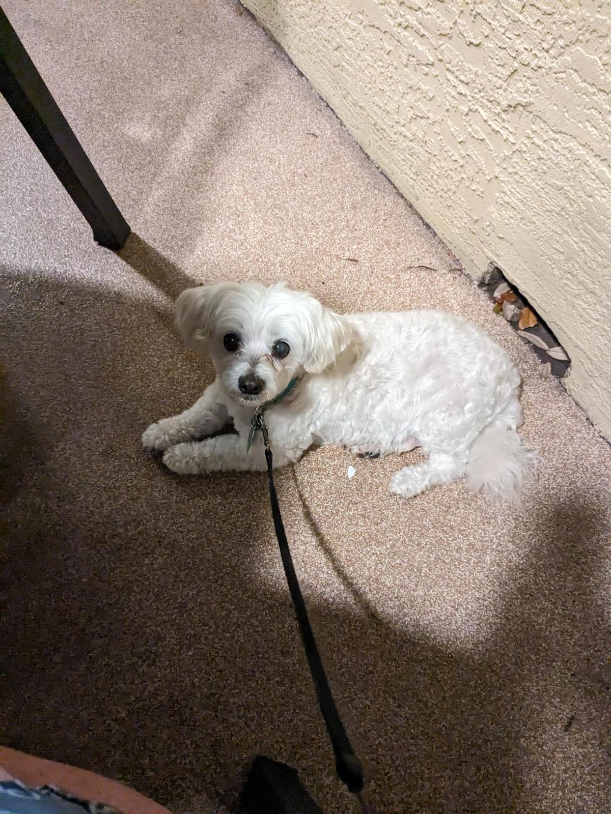 Rib City restaurant view 1