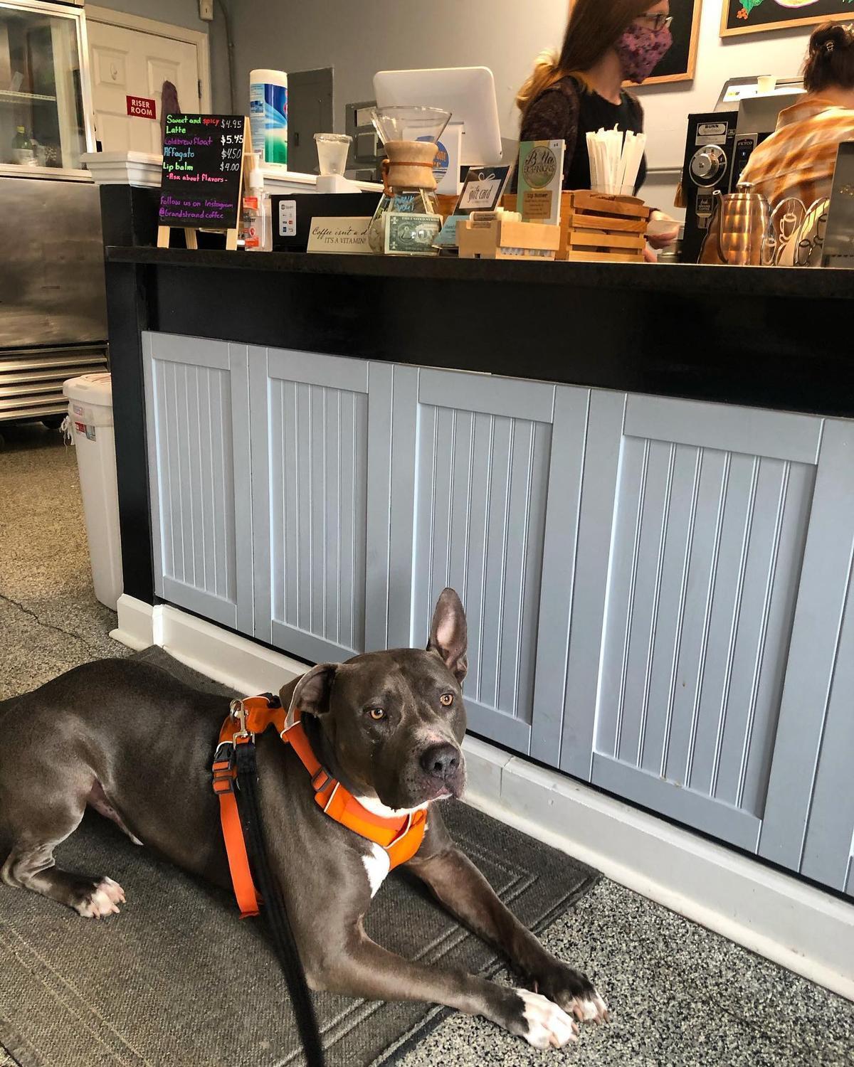 Grand Strand Coffee restaurant view 1