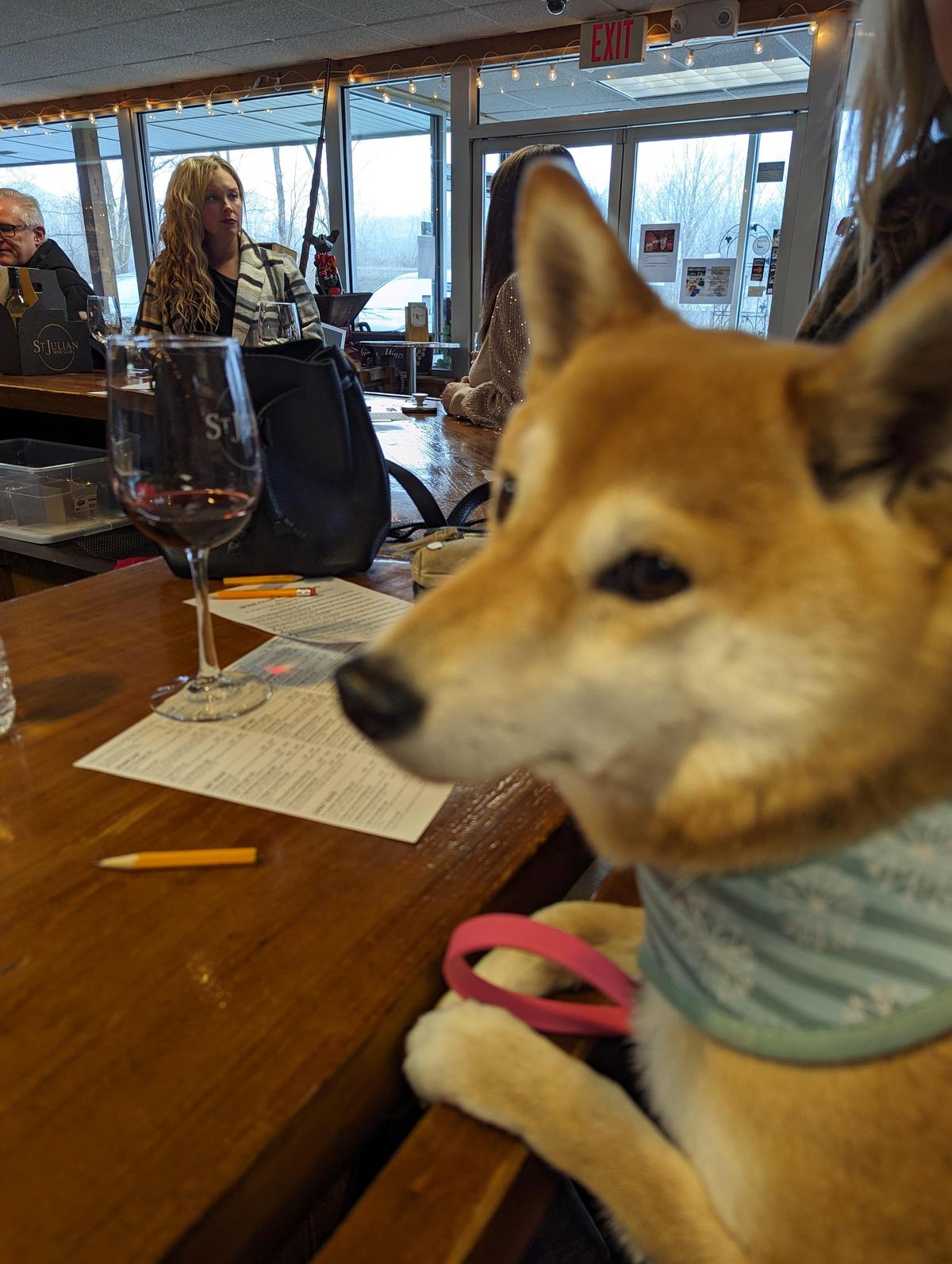 St. Julian Winery Tasting Room restaurant view 1