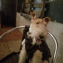 Les Amis restaurant view 1