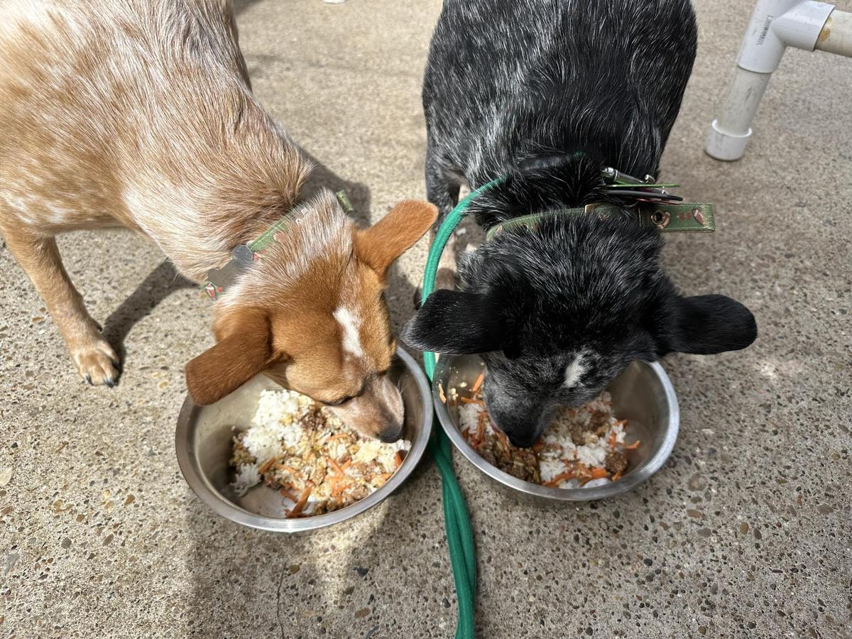 Pier 99 Restaurant restaurant view 1