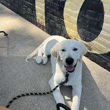 Railshake restaurant view 1