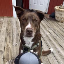 Twilley's Willys restaurant view 1