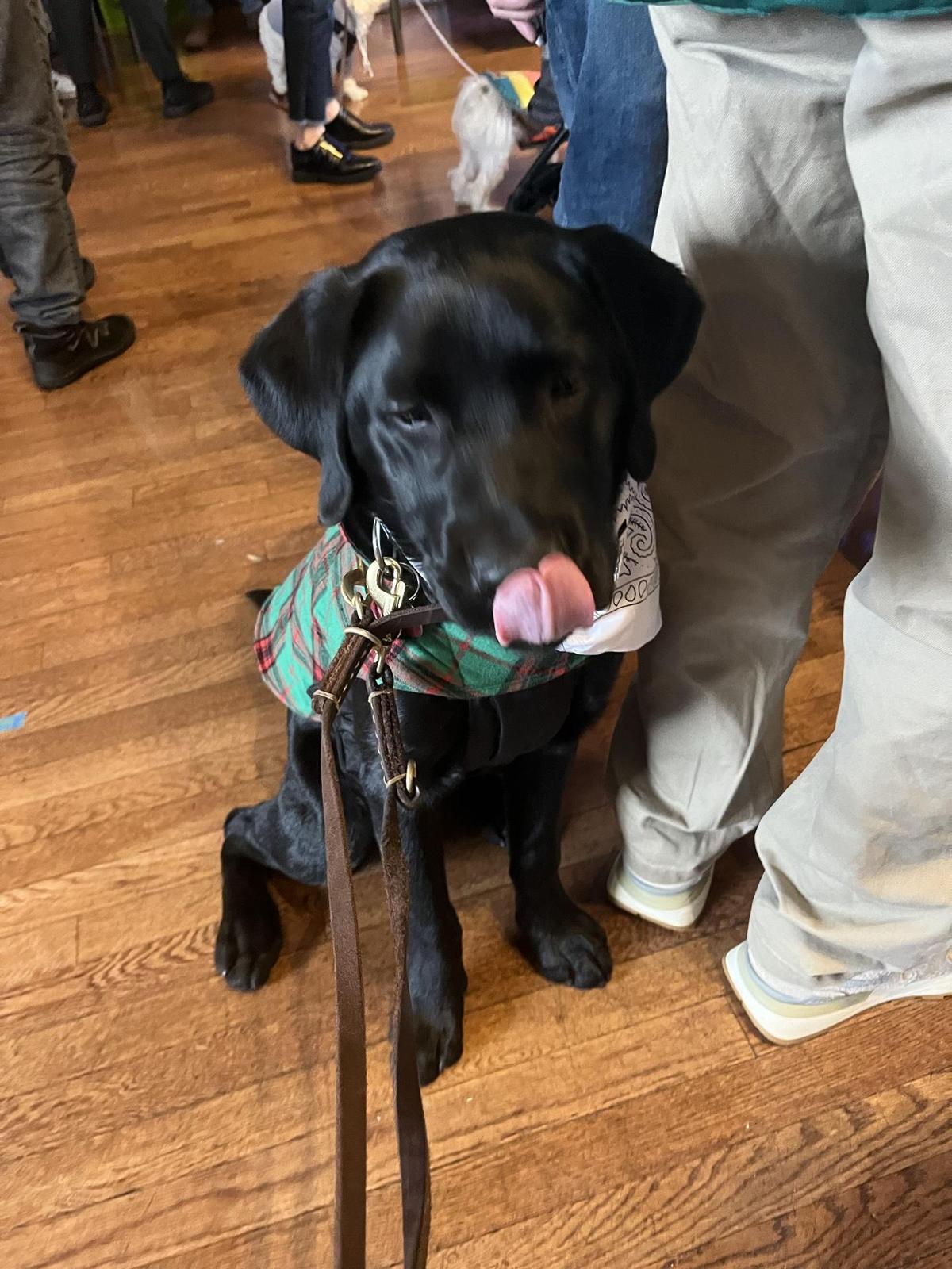 TownHall restaurant view 2