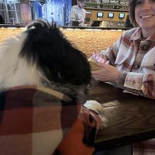 Pooles Island Brewing Company restaurant view 1