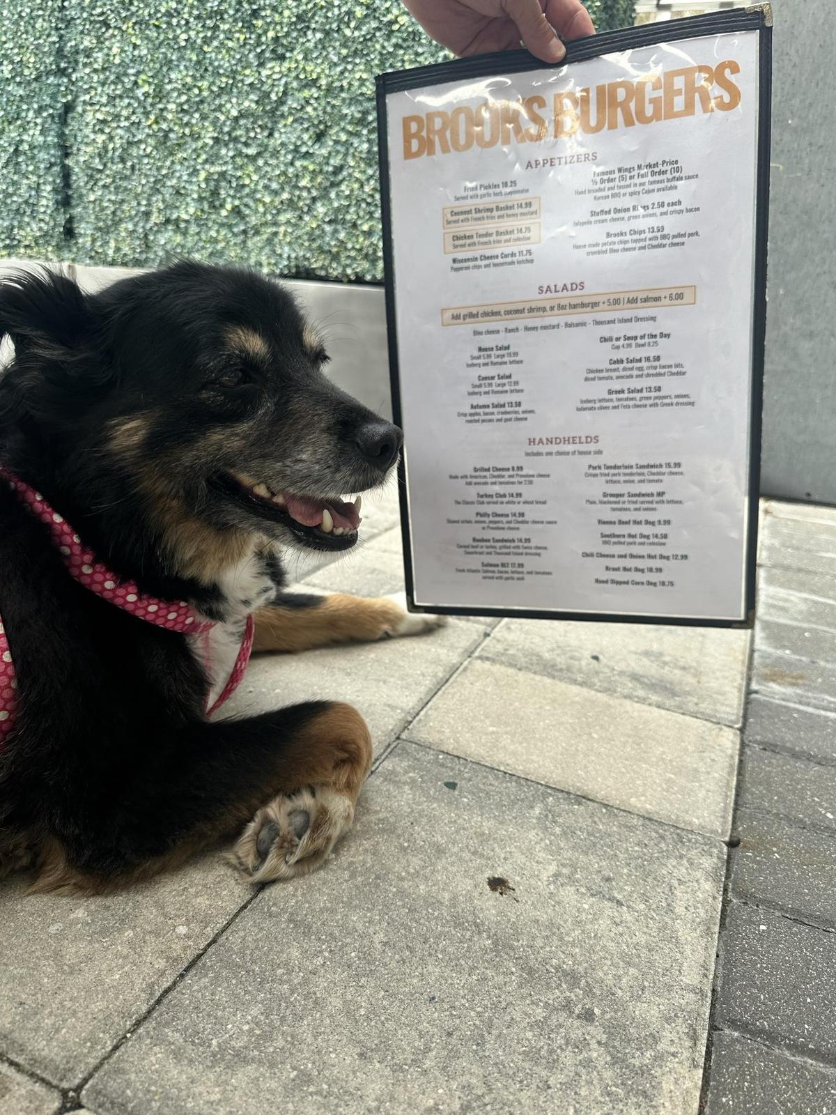 Brooks Burgers restaurant view 2