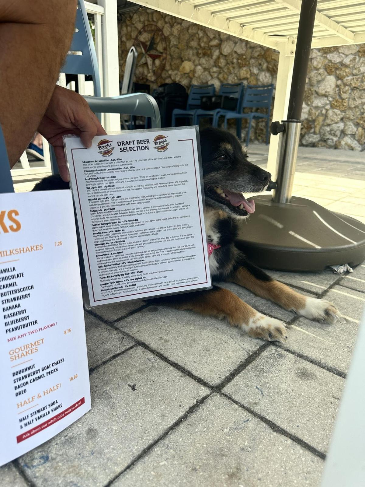 Brooks Burgers restaurant view 1