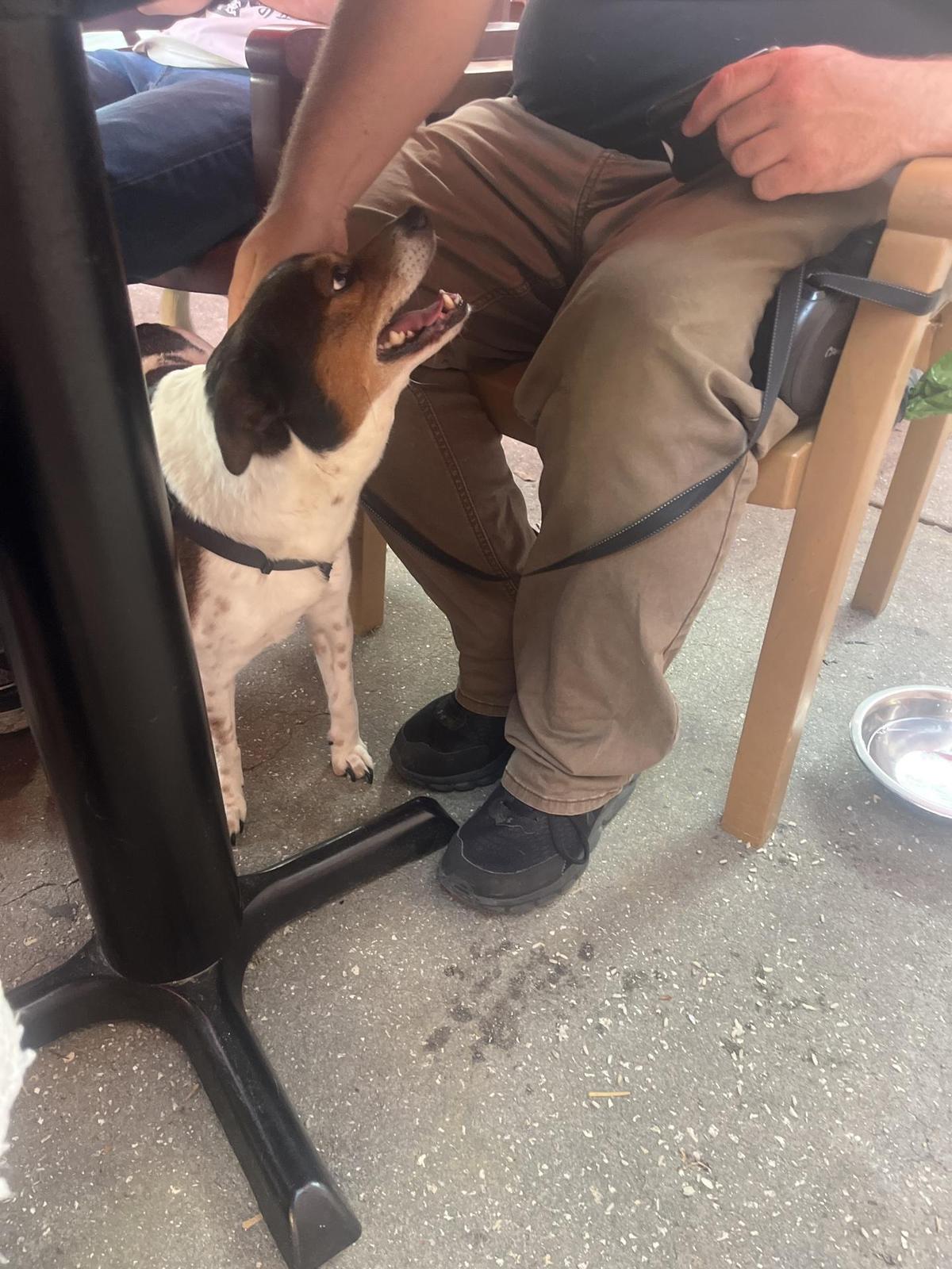 Gaspar's Grotto restaurant view 3