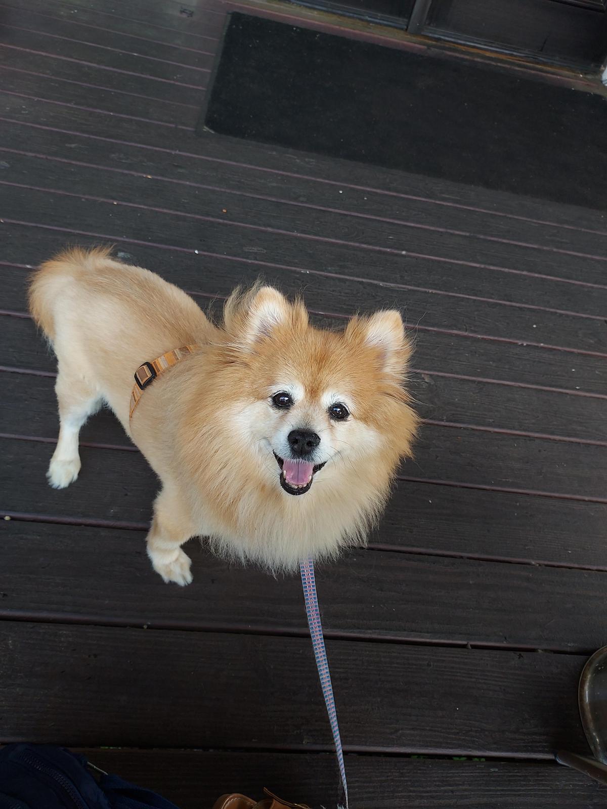 Cafe Murano restaurant view 2