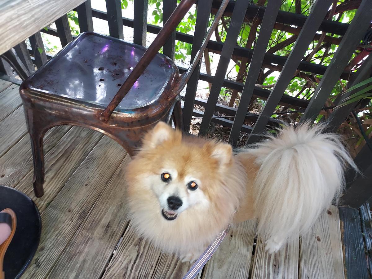 Jimmy Hula's restaurant view 2