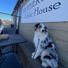 Brother Jon's Public House restaurant view 1