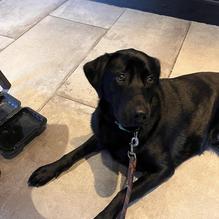 Yard House restaurant view 1