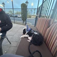 Haymaker Thunderbird restaurant view 2