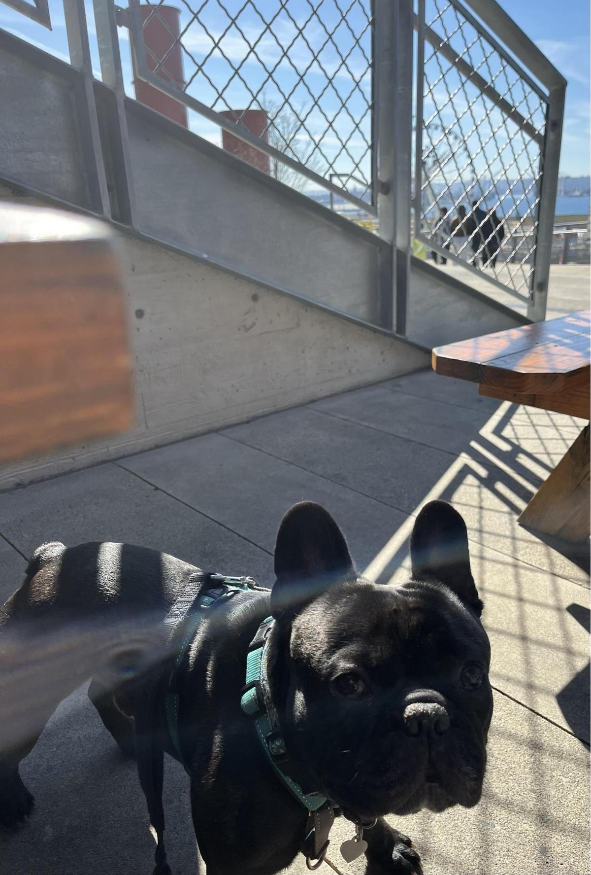 Old Stove Brewing restaurant view 1