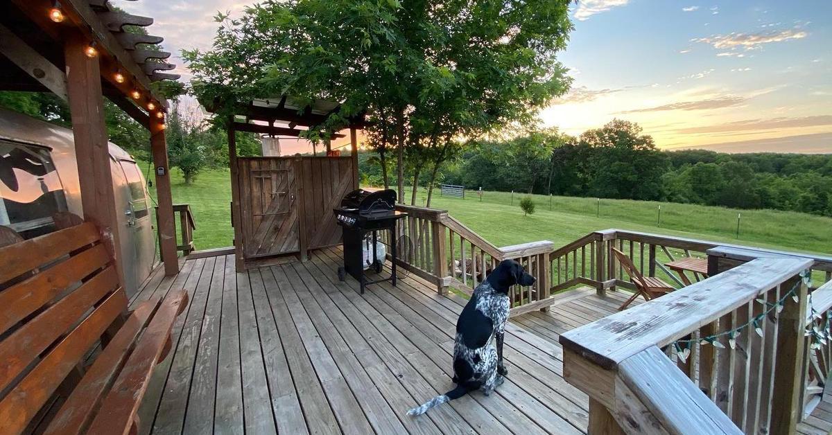 Missouri's Best Dog-Friendly Airbnbs