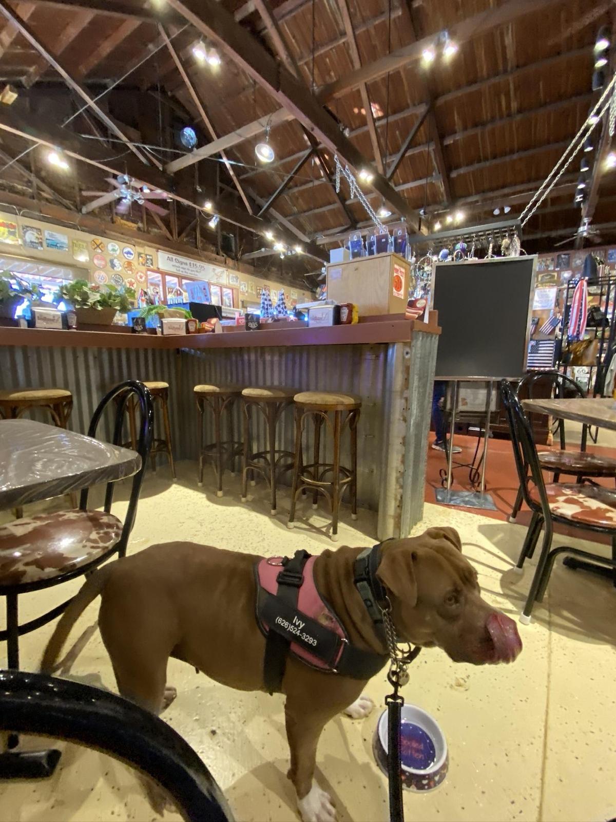 Route 66 RoadRunner restaurant view 2