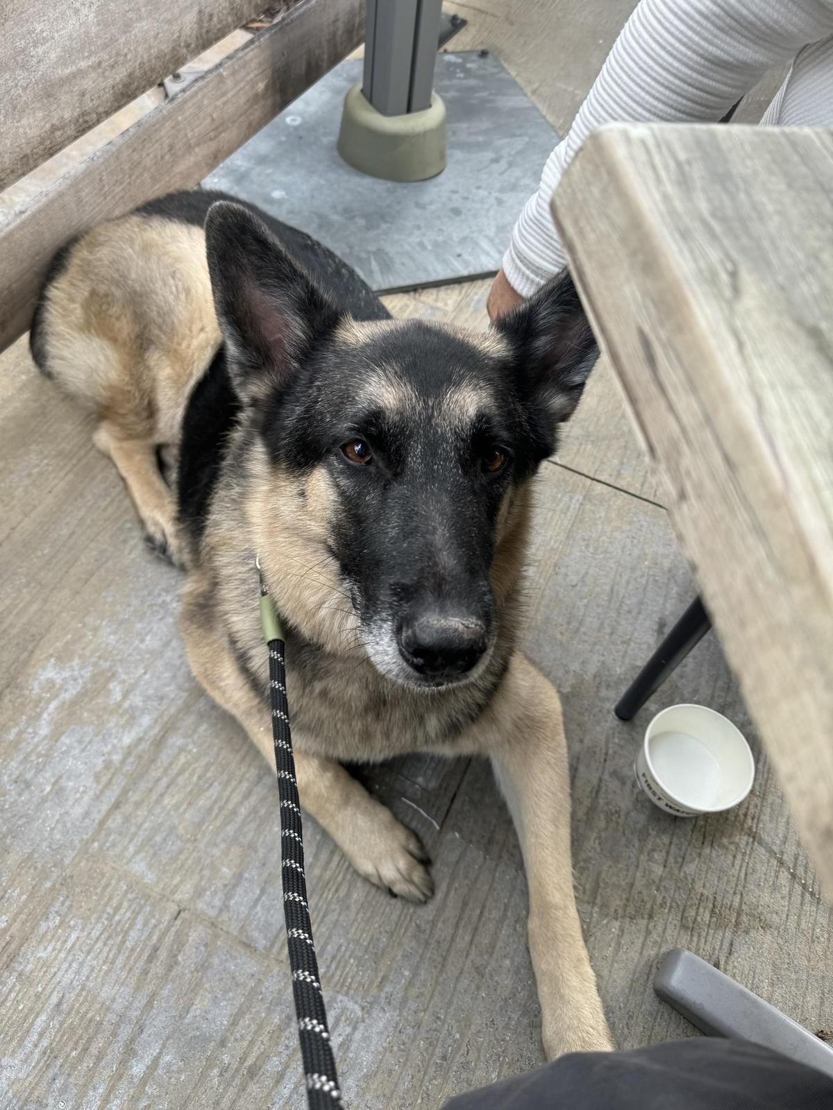 First Watch restaurant view 1