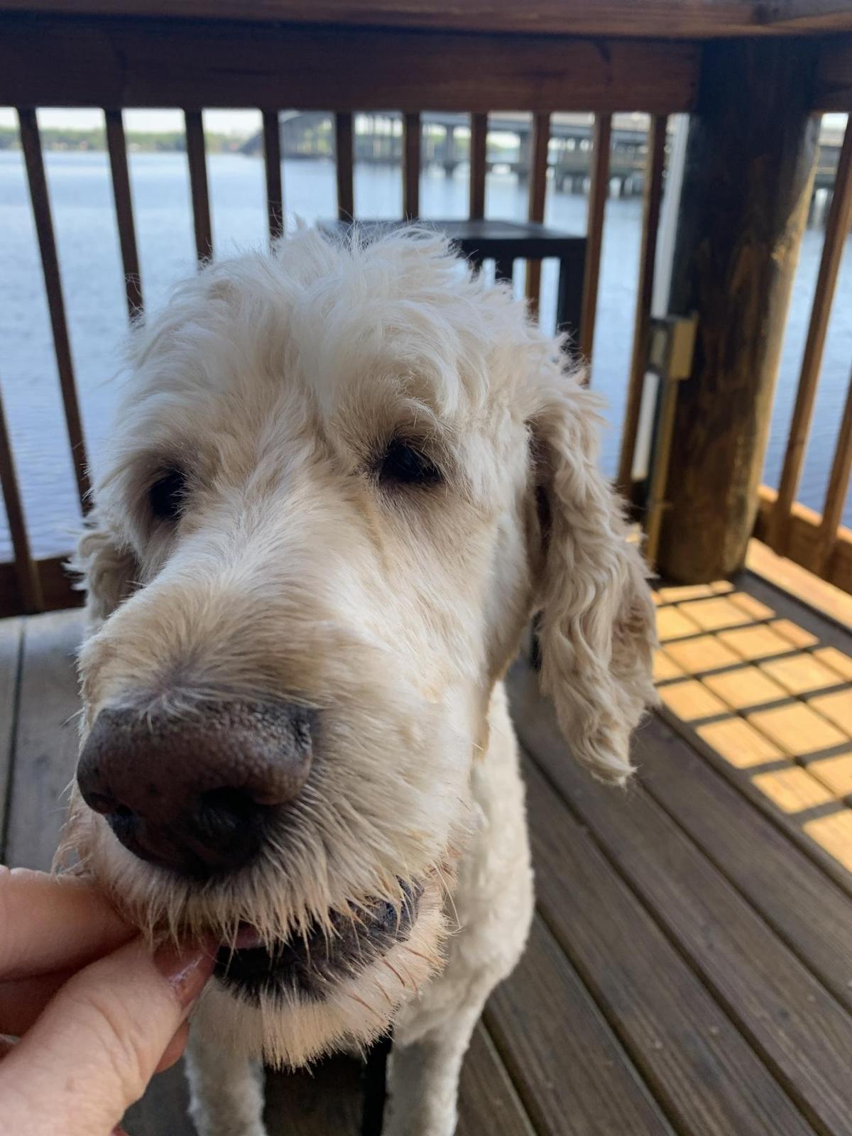 Beef 'O' Brady's restaurant view 1