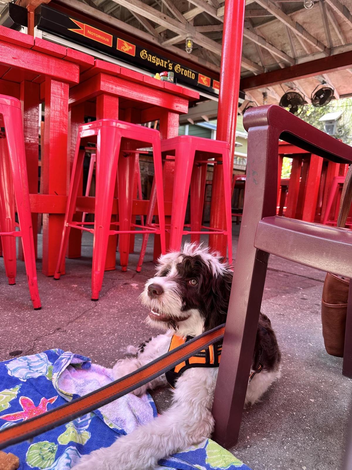 Gaspar's Grotto restaurant view 2