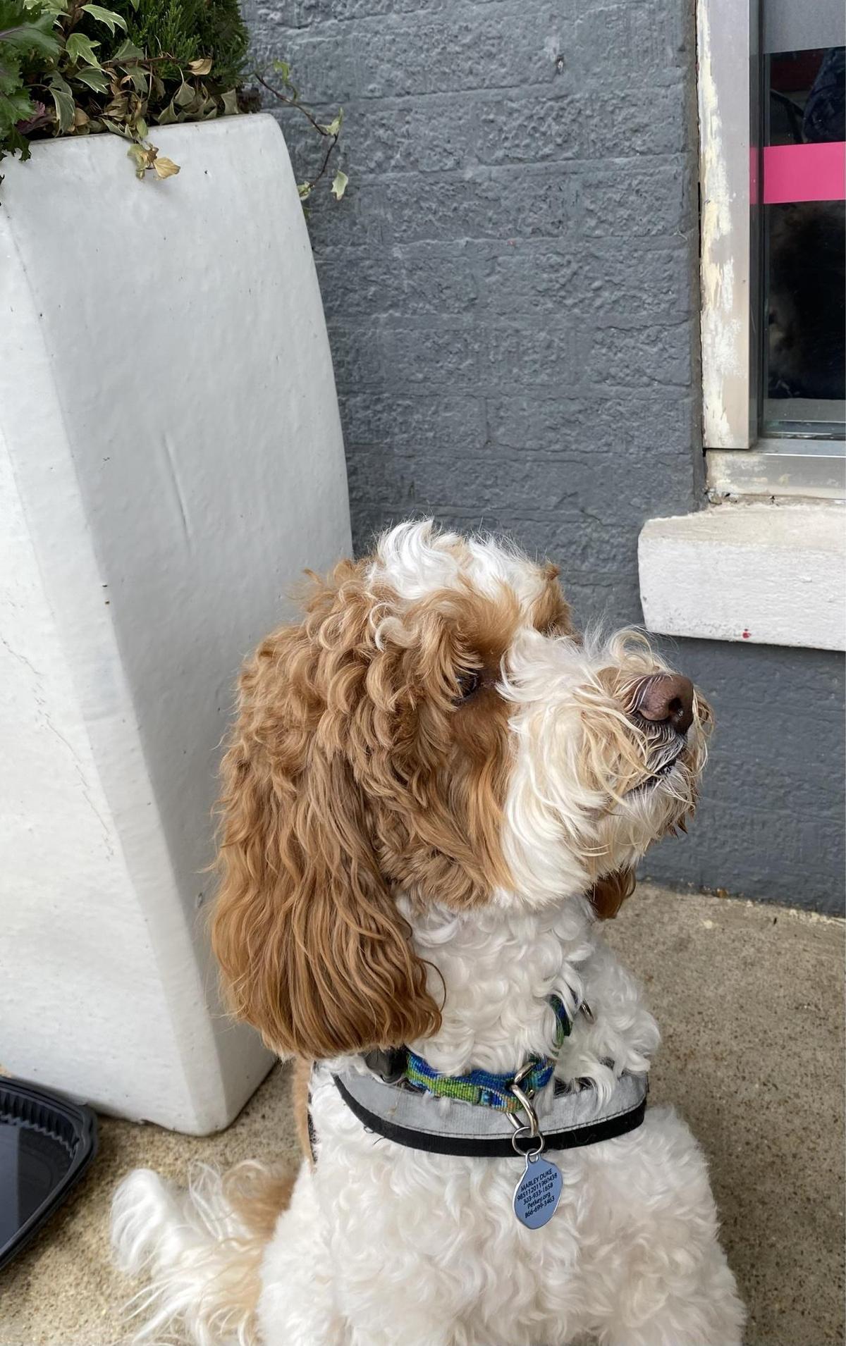 Tallahatchie Gourmet restaurant view 1