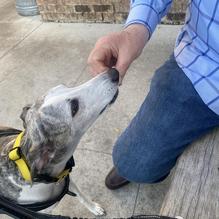 Rusty Pelican restaurant view 1