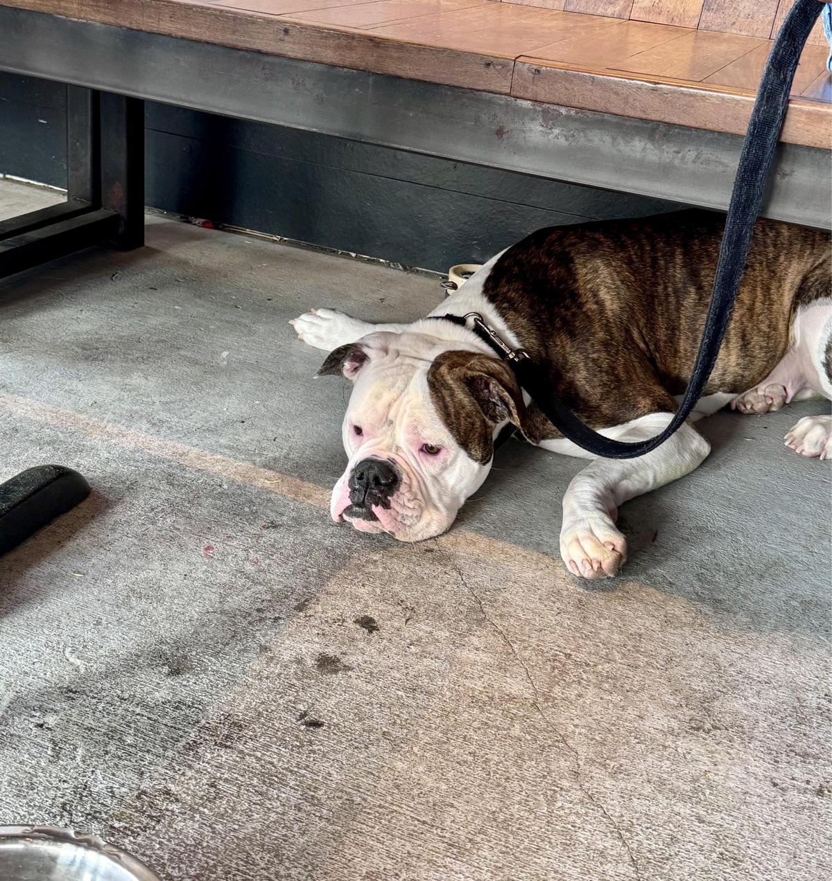 Good Word Brewing & Public House restaurant view 1