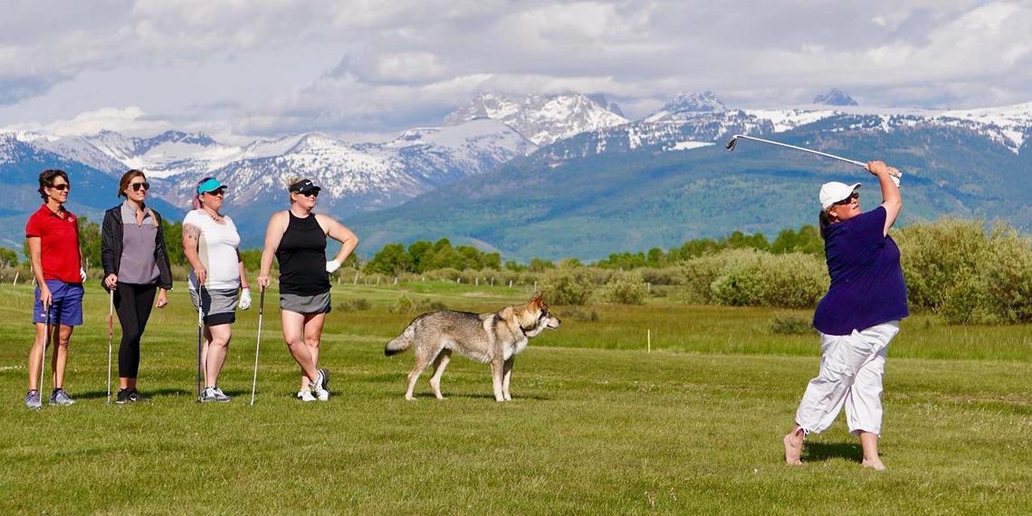 Ultimate Guide to Dog Friendly Golf Courses: Have Fun with your dog!