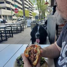 Iron Horse Tavern restaurant view 1