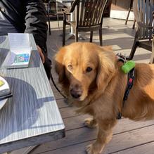 Rose's Landing Bar & Grill restaurant view 1